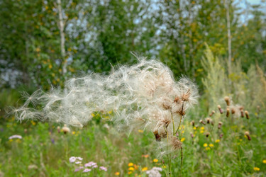 Similar image 22492284