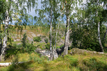 Similar image 22501462