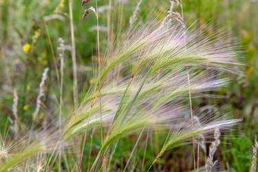 Similar image 22501492