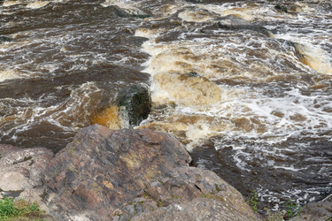 Similar image 22501496