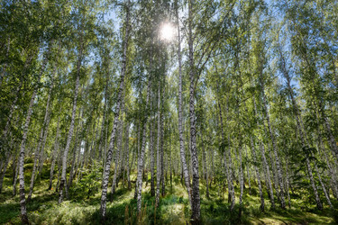 Similar image 22501508