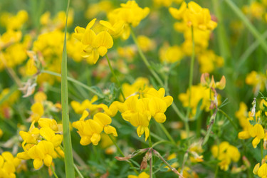 Similar image 22501540