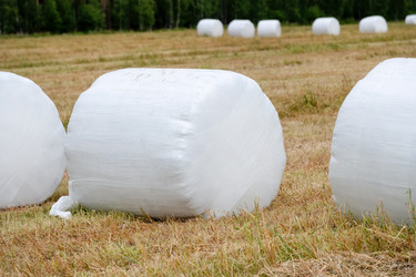 Similar image 22501555