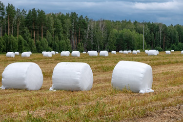 Similar image 22501583