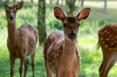 Similar image 22500970