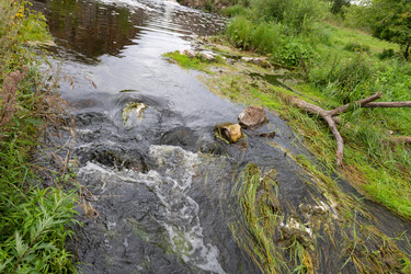 Similar image 22500971