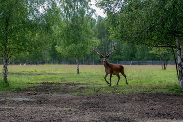 Similar image 22500974