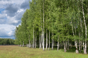 Similar image 22500975