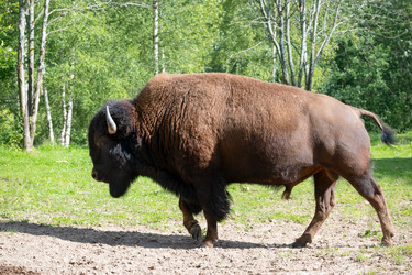 Similar image 22500977