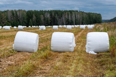 Similar image 22500978