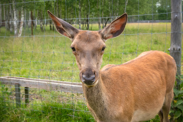 Similar image 22500979