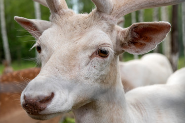 Similar image 22500986