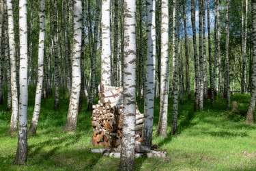 Similar image 22500988