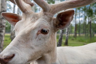 Similar image 22500989