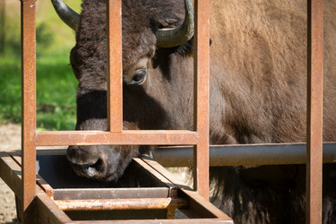 Similar image 22500990