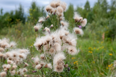 Similar image 22501000