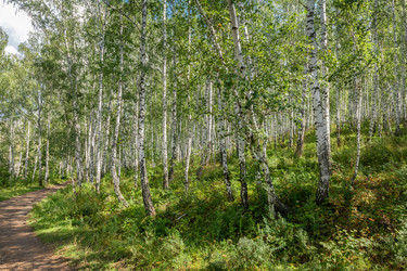 Similar image 22501004