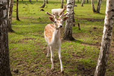 Similar image 22501005