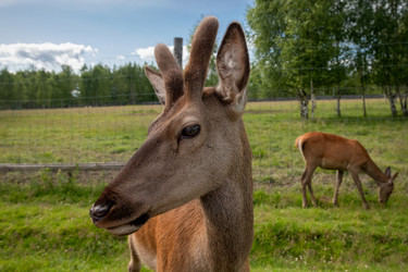 Similar image 22501007