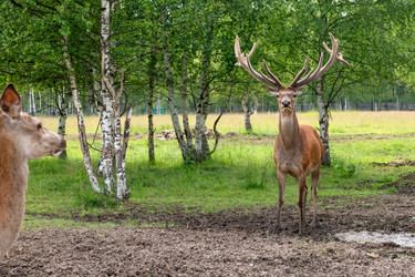 Similar image 22501017