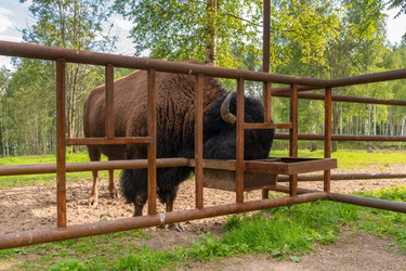 Similar image 22501018