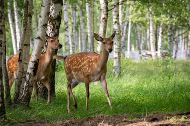 Similar image 22501021