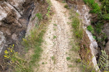 Similar image 22501022