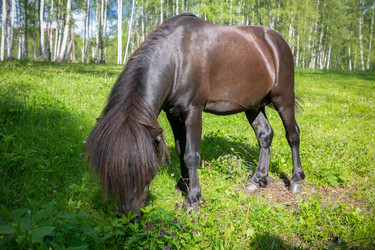 Similar image 22501030