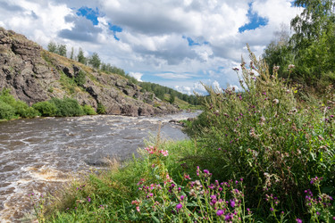 Similar image 22501031