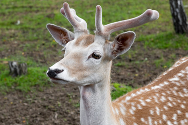 Similar image 22501032