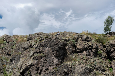 Similar image 22501034