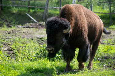 Similar image 22501035