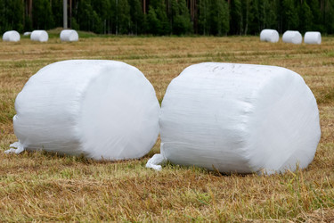 Similar image 22501036