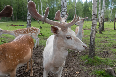 Similar image 22501039