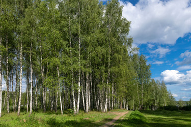 Similar image 22501045