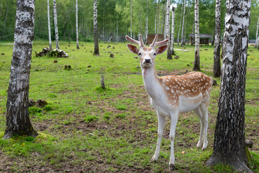 Similar image 22501047