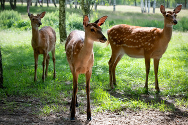 Similar image 22501048