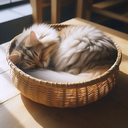 Similar image 22521678