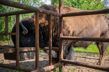 Similar image 22501051