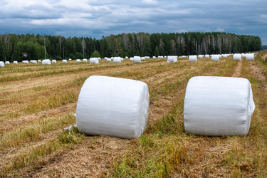 Similar image 22501467