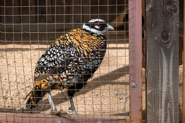 Similar image 22501481