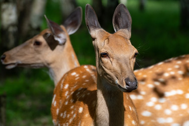 Similar image 22501498