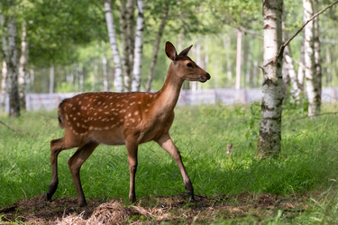 Similar image 22501512