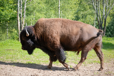 Similar image 22501513