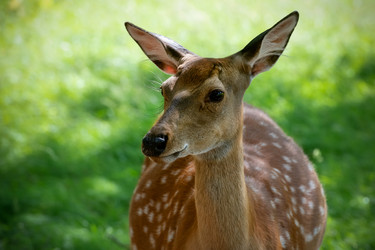 Similar image 22501514