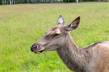 Similar image 22501526