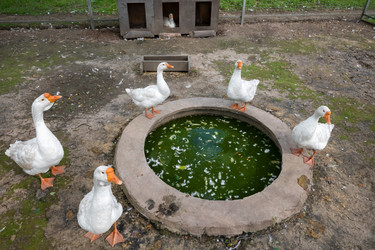 Similar image 22501527