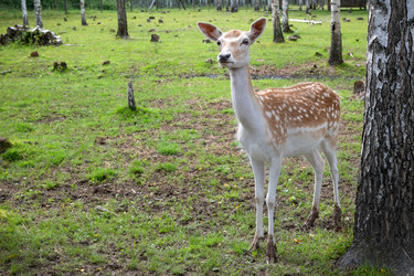 Similar image 22501528