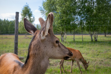 Similar image 22501542