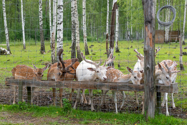 Similar image 22501543